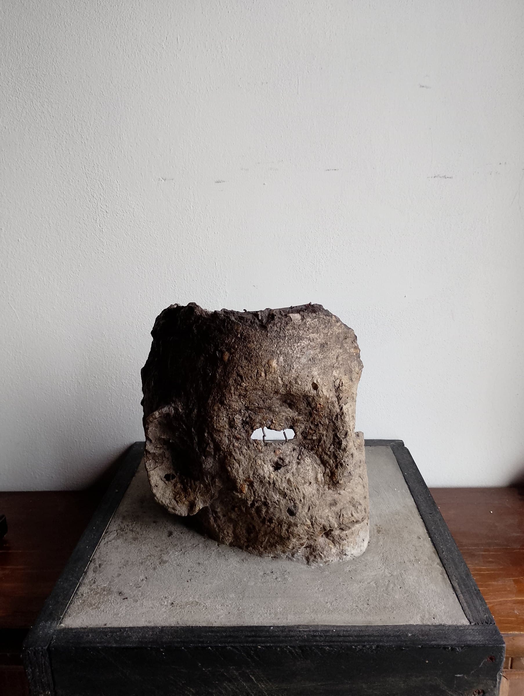 Testa, Cemento  e legno rete metallica, 34x 34x26x22, di Basil